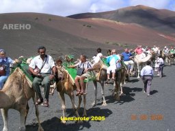 2005_2009